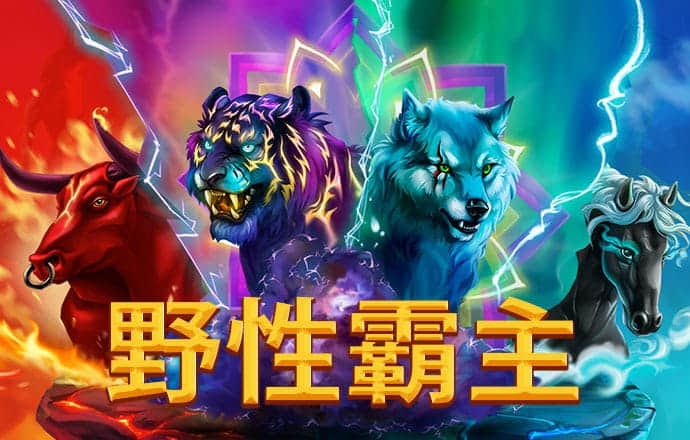 大发棋牌08555官网版